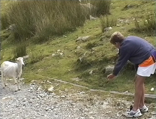 29 Jul 1997 · North, Mid and South Wales: Day 2 Lledr Valley to Pen-y-Pass YH